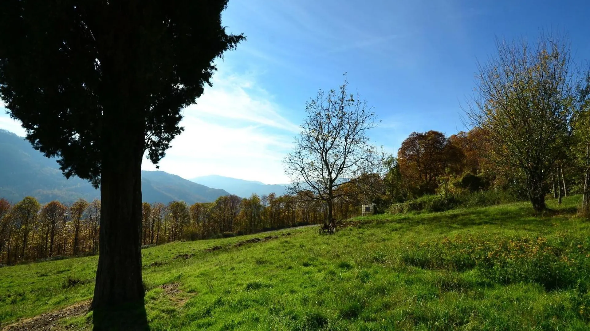 Alpehytte Lovely Holiday Home With Private Pool San Marcello Pistoiese Italien